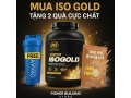 PVL Iso Gold 5lbs 